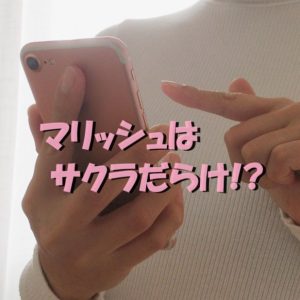 マリッシュ　サクラだらけ